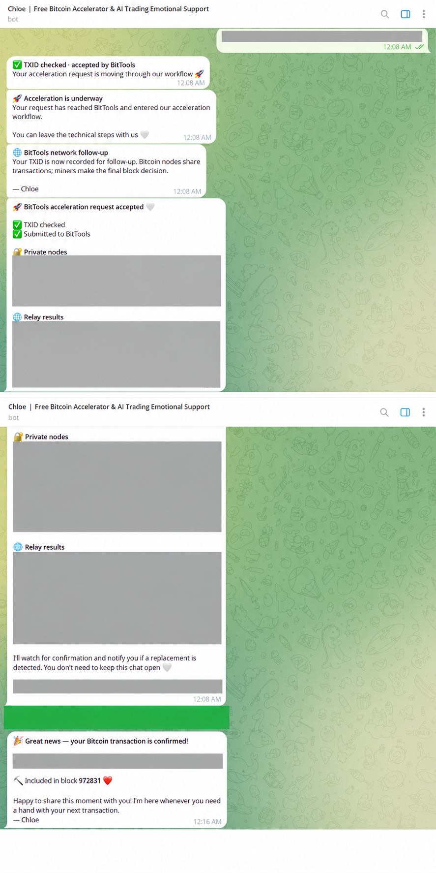 Redacted view of Chloe accepting a Bitcoin acceleration request and later reporting confirmation