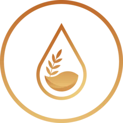 ENKI Protocol