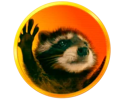 Pedro the Raccoon
