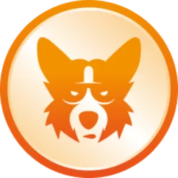 CorgiAI