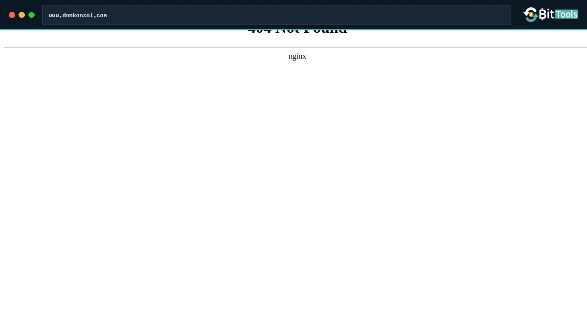 DONK official website preview