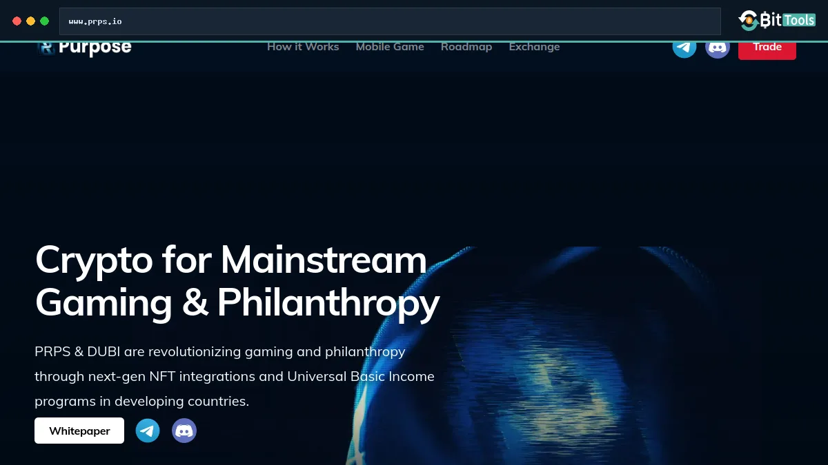 Decentralized Universal Basic Income official website preview