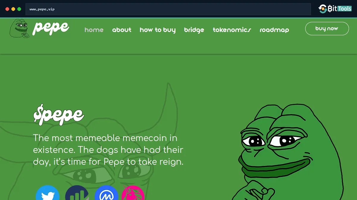 Pepe official website preview