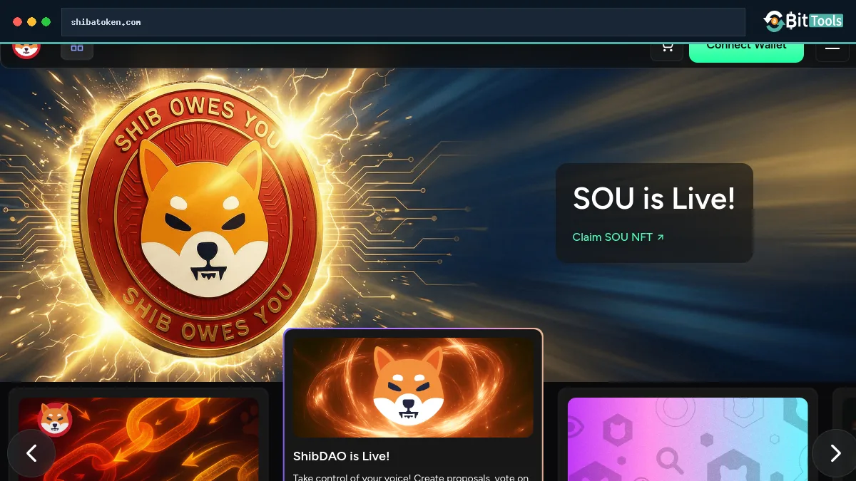 Wrapped BONE official website preview