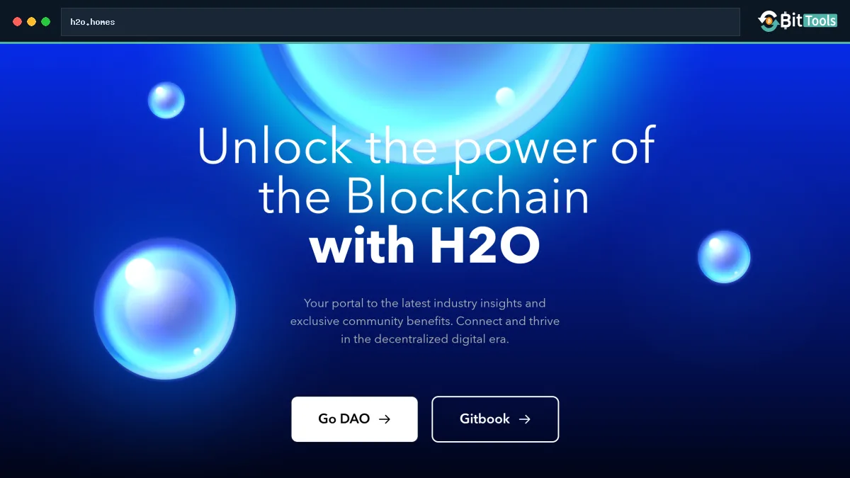 H2O Dao official website preview